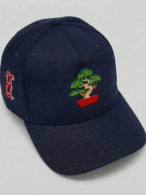 Boston Red Sox Bonsai Snapback Hat Navy 5 Panel Cap